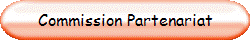 Commission Partenariat